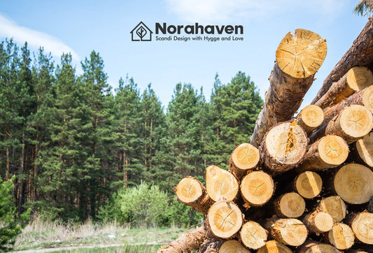 Sustainable Kitchen from Wood Selection? How Norahaven FSC Certification Defines Nordic Natural Material Philosophy