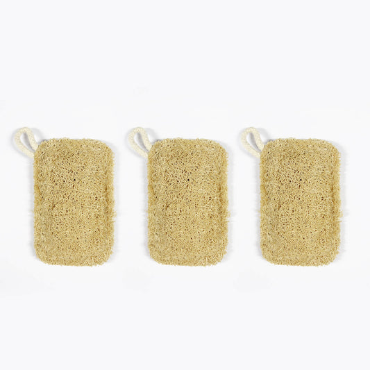 【Gave, ikke til salg】 Naturlig blød luffa rengøringssvamp, dobbeltsidet, 3-pakning